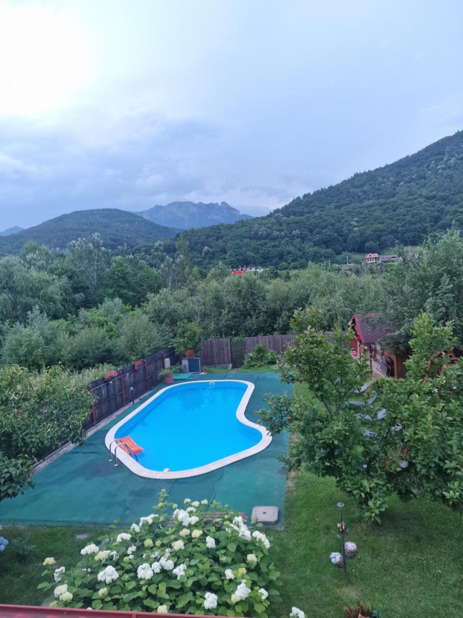 Casa De Vacanta Качулата Стая снимка